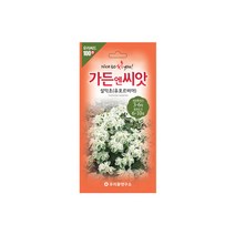 수입야생화씨앗 100선 설악초(유포르비아) 100립, 1개