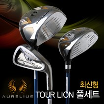 아우랠리우스 투어라이온 골프채 풀세트, 남성용 그라파이트R