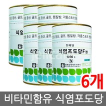 천혜당 식염포도당 F (비타민함유) 1000정, 6개