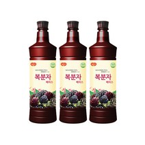 광야 음료 복분자 베이스 970ml x 1개, 단품, 단품