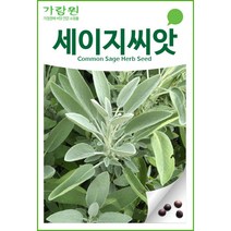 세이지씨앗 세이지 씨앗 허브씨앗 ( 50알 ), 1개