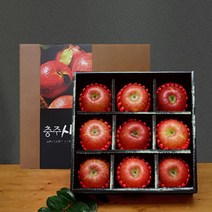 충주파머스마켓 프리미엄 명절사과 세트 9과, 3kg (9과), 명절 선물용 1box