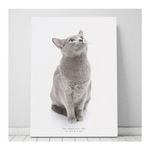 [SACCO] 사코 액자 테이블 북유럽 인테리어, 08_러시안블루 S (60x40x27)