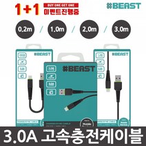 샵비스트 3.0A 고속충전케이블 1+1, 1개, 05-06.샵비화이트 C타입+C타입(20cm)