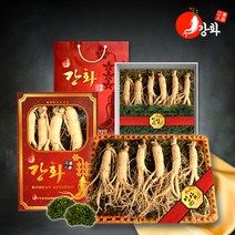 [강화초지인삼] 건강하게 키워낸 5년근 수삼 난발삼 모음, 1set, 04_5년근 수삼 1채 500g (6~7뿌리)