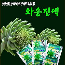 [장수명가]와송즙 와송진액, 100ml, 60포