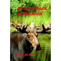 Adirondack Sasquatch Paperback, Coyote Publishing of Wny