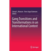 Gang Transitions and Transformations in an International Context Hardcover, Springer