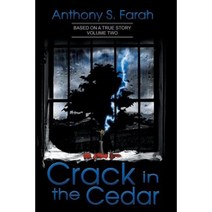 Crack in the Cedar: Volume 2 Paperback, Xlibris Corporation