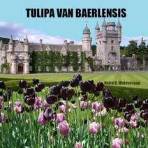 Tulipa Van Baerlensis Paperback, Createspace Independent Publishing Platform