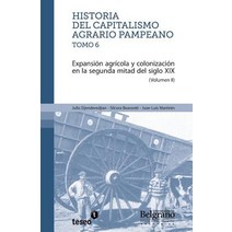 Historia del Capitalismo Agrario Pampeano - Tomo 6: Expansion Agricola y Colonizacion En La Segunda Paperback, Teseo