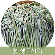 두리반농산 국산 햇 생고사리 4kg내외, 1박스