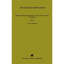Advanced Gasification: Methanol Production from Wood - Results of the EEC Pilot Programme, Springer