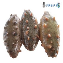 통영싱싱 멍게 가리비 꼬막 제철수산물, 1개입, 해삼500g+깐멍게300g