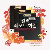 지티지 칼라레포트화일 COLOR REPORT FILE, 오렌지, 1개