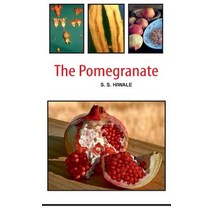 The Pomegranate Hardcover, Nipa