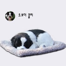 김가네잡화 숯먹은 진짜같은 강아지 미세먼지 악취제거