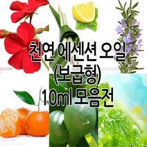 천연 에센션 오일 (10ml) 19종, 17.로즈제라늄