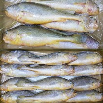 자갈치닷컴 부세조기 1박스, 7마리, 31cm전후
