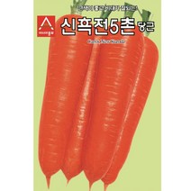 아시아종묘 당근씨앗 신흑전5촌당근 (80g)