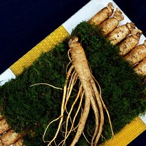 한국인삼유통공사 명품 인삼선물세트 4호 수삼 금산풍기인삼선물세트, 1세트, 세련형보자기