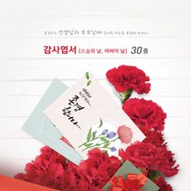 모두카피 감사엽서 스승의날 어버이날 카네이션 봉투포함 20장set TH-01, 28(20장)