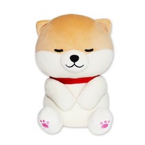 이젠돌스 모찌 꿀잠펫 말랑한 포메라니안 동물인형 25CM, 모찌꿀잠펫(포메라니안)25CM