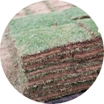 잔디시공 롤잔디 1평 설치, 1개