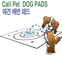 콜펫 신개념 프리미엄 애견패드 뛰어난 순간 흡수력 미끄럼방지 엠보싱가공 배변패드, 30개