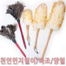 먼지제거기 옷먼지털이 옷먼지제거기 먼지털이 보풀제거기, 양모먼지털이-中, 1개