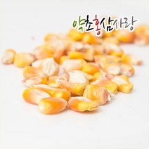 약초홍삼사랑 국산 노란옥수수 알 말린 옥수수알, 1개, 1kg