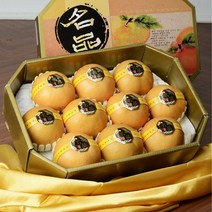 프리미엄 나주배 추석 선물세트 7.5kg (9월19일 출고시작), 03.배 선물세트7.5kg(7-9과)대과