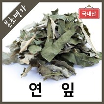 본초명가 연잎 연꽃잎 연입, 1개, 300g