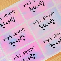 네임에이드 네임스티커 특대형 그림없이, 805-특대형 핑크폴리 그림없이