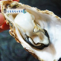 통영굴 석화가리비 제철해산물, 1개, 석화5kg+가리비1kg(3인 구이찜결합세트)