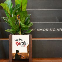미나의정원 중형 메세지 액자화분, 24 꿈을응원