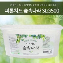 피톤치드숲속나라 실내용방향제 피톤치드, 420g, 1개
