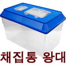 채집통 왕대 왕특대 햄스터&곤충&거북이 케이지 사육장, 뚜껑색상랜덤배송, 1개
