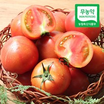 [푸르젠] 전남 장흥 무농약 완숙토마토 3kg, 1개, 3kg (1~2번)