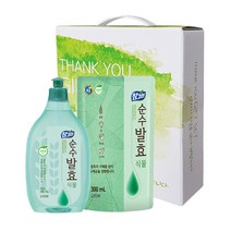 참그린 순수발효식물 용기 리필2P, 800g, 1set