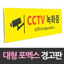 정924538-대형 포맥스 안내판 CCTV녹화중 포맥스 포멕스 주차장 경고판 안내판, JW 본상품선택