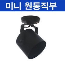 PAR30 미니 원통 직부형 블랙 천장등