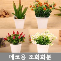 kapoo 푸릇푸릇 4계절내내 푸른 조화+화분, 2.다육이 알로애A