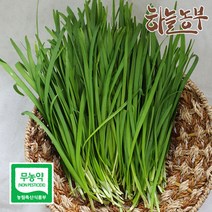 하늘농부 친환경 부추 200g, 1봉