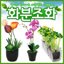 호가 화분조화 호접란 장미 인테리어 조화 화분 장식, 포인트 화분조화 카네이션(-2400원)