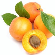 [아로마케이] 케리어오일 베이스오일 비누만들기재료, C_25 살구씨오일100ml