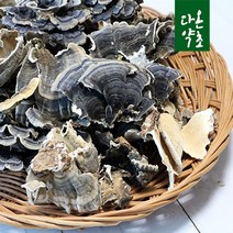 국내산 운지버섯(구름버섯) 300g, 1개