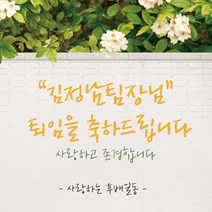 [디자인레드] 퇴임현수막 은퇴 정년퇴임16 현수막, 300x70