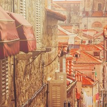 프래그런스오일 인칸토 블룸, 50ml