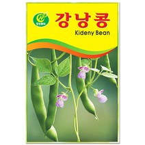 청농종묘 시금치 씨앗 1300립 - 채소씨앗 시금치씨 시금치씨앗, 17_강낭콩(20g)